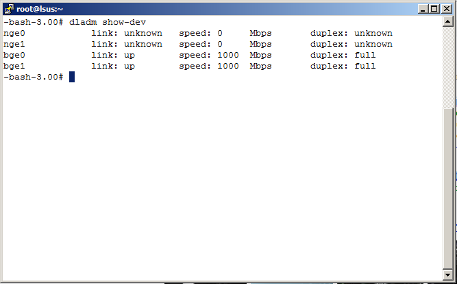 Solaris 10 LACP