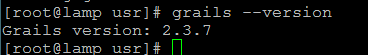 grails-version