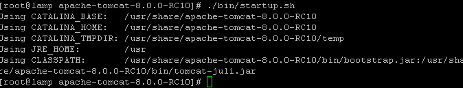 tomcat-start