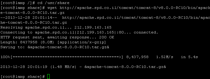 tomcat-wget