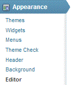 Hide WordPress HomePage Title 2